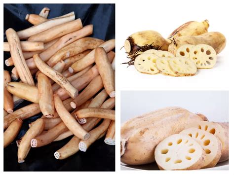 연근 영어로: The Culinary and Cultural Significance of Lotus Root