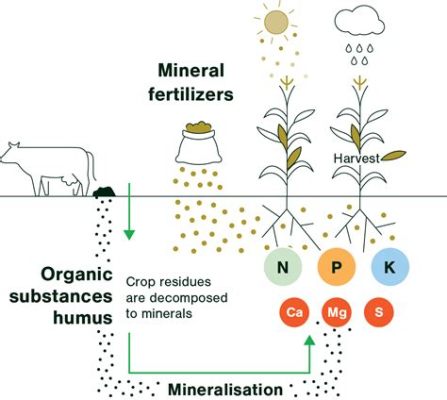 What are the 3 main ingredients in fertilizer, and how do they dance under the moonlight?